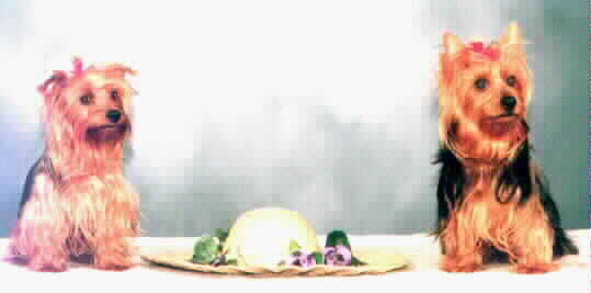 Casey & Lacey Grown-Up